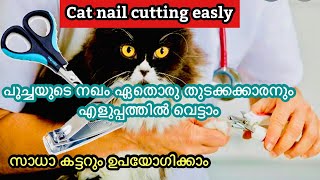 Cat nail cutting | malayalam |