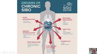 Advanced SIBO Case Management - A Course for Health Care Practitioners treating SIBO