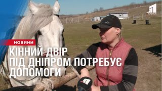 Кінний двір під Дніпром потребує допомоги