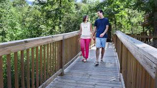 Discover Your Dream Home at Holloway at Wyndham Forest