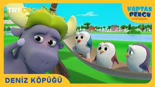 Kaptan Pengu ve Arkadaşları | Deniz Köpüğü