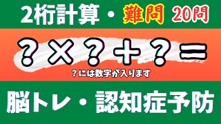 🌊2桁計算・難問20問🎄【高齢者向け足し算・引き算・掛け算】いろいろな計算問題で楽しく脳トレ♪【認知症予防・脳トレ・頭の体操・脳の若返り】　2024年11月13日