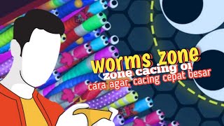 cara agar cacing cepat besar worms zone cacing paling besar di tubuh manusia