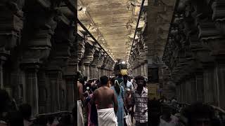 முருகனை நோக்கி #shortsvideo #murugan #murugantemple #muruganthunai