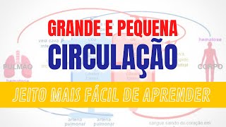 Grande e Pequena CIRCULAÇÃO | Como aprender a Circulação Sistêmica e Pulmonar