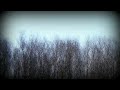 AIU - Ambient - Ambiental Mix