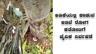 ARECA NUT FARMING / BETEL NUT CULTIVATION|| Anabe Roga  || control soil deforms ಅಡಿಕೆಯಲ್ಲಿ  ಅಣಬೆ ರೋಗ