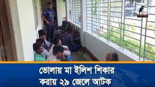 ভোলায় নিষেধাজ্ঞা অমান্য করে মা ইলিশ শিকার করায় ২৯ জেলে আটক। Maasranga News