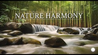 NATURE HARMONY - RELAXING WATER SOUND WITH BAMBOO AND FLUTE