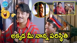 అక్కడ మీ నాన్న పరిస్థితి  Nagarjuna Brahmanandam Tabu Best Scene |@iDreamAdilabad