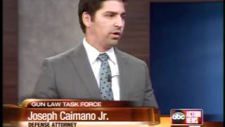 Tampa Attorney on Gun Law Task Force