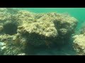 crete greece snorkeling hersonissos 2024