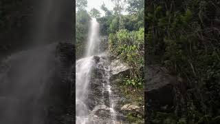 Waterfall Uttarakhand 🏔#shorts #youtubeshorts #trending #mountains #shortsvideo #travel