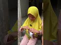 cara pilih ciki agar dapat emas 10 gram tutorial shorts ciki hadiah emas