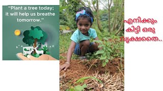 പരിസ്ഥിതി ദിനത്തിൽ കിട്ടിയ തൈ നടുകയാണ്..//Plant received on Environment Day is being planted..