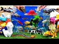 Collection of Cute Animal Videos, Crocodile, Turtle, Chick, Crocodile, Goldfish, cute dog