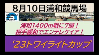 【競馬予想】23トワイライトカップ　リヴィフェイス巻き返す！～２０２３年８月１０日 浦和競馬場 ：８－１１