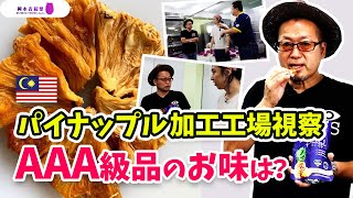 【パイナップル王になる】マレーシア特産驚くほど甘いパイナップルの農園・加工工場を視察してみた〔農園投資#3〕