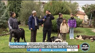 ΕΡΤ3 | Ποιμενικοί «πρωταθλητές» από την Πηγή Τρικάλων