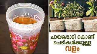 Homemade Fertilizer From Used Tea Powder | ചെടികൾ വളരാൻ ചായപ്പൊടി കൊണ്ട് വളം