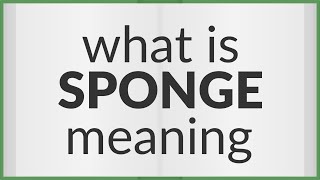 Sponge | meaning of Sponge