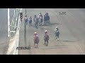 2011年 jbcクラシック jpni｜第11回｜nar公式