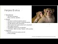 arboviral and zoonotic viral infections jacqueline sherbuk md