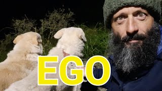 ⚠️EGO D'istruzioni per l'uso! / LIVE 27