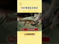 速速来测测你的情绪稳不稳定！ 精神状态良好 情绪稳定 shorts