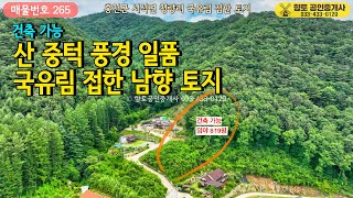 매물265 홍천토지 매매 산 중턱 풍경 일품 국유림 접한 남향 토지 819평 1억2천만원