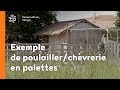 Un exemple de poulailler/chèvrerie en palettes