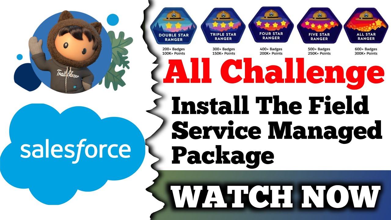 Install The Field Service Managed Package | Salesforce Trailhead | All ...