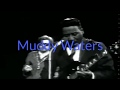 Muddy Waters