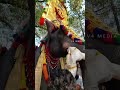 aanayadi pooram 2024 aanayadipooram2024 youtubeshorts shortfeed