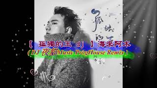 【 孤獨的王 dj 】海來阿木 ( DJ 夜貓Music ProgHouse Remix )