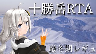 厳冬期十勝岳RTA【リアル登山アタック】