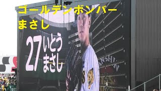 阪神登場曲2023　伊藤将司(打席) ゴールデンボンバー まさし　＠甲子園　20230504