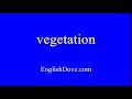 How to pronounce vegetation in American English.