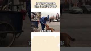 2019 03 28抖音热门视频No 64 汪仔饭温暖时刻 你不嫌弃的收养我，我全心全意地帮助你#汪仔饭一软狗粮易消化 50万点赞