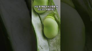 국내산과 수입산 두부의 차이점 그진실은