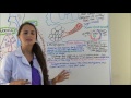 copd chronic obstructive pulmonary disease chronic bronchitis emphysema nclex part 1