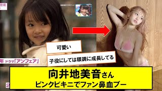 AKB48・向井地美音、ピンクビキニで美バストあらわ「鼻血ブーしそうですわ」【ネットの反応】