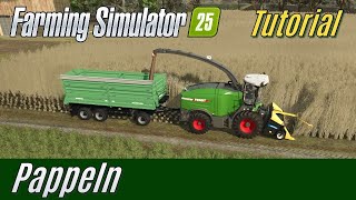 LS25 Tutorial: Pappeln anbauen (Für Einsteiger)