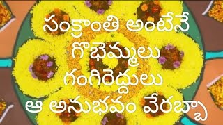 సంక్రాంతి అంటేనే గొభెమ్మలు గంగిరెద్దులు ఆ అనుభవం వేరబ్బా