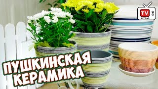 Цветочные горшки 🌸 ПУШКИНСКАЯ КЕРАМИКА 🌸 Обзор hitsadTV