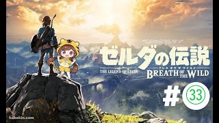 【ブレワイ】あゆみの伝説、DLC「英傑たちの詩」に挑戦③【ゼルダの伝説ブレス オブ ザ ワイルド】