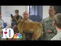 Service & Sacrifice: War Dog Healer