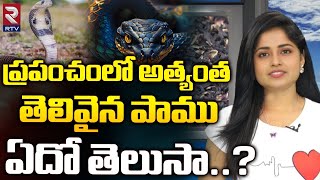 Smartest Snake in The World | ప్రపంచంలో అత్యంత తెలివైన పాము ఏదో తెలుసా..? | RTV