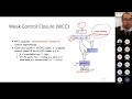 The modern use of control dependency in static program analysis