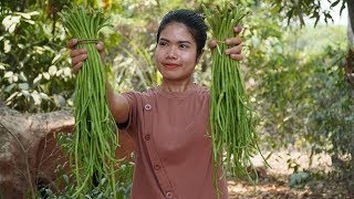 Relaxing Cook In Countryside -Picking Long Beans For Making Yummy Raw Beef With Long Beans